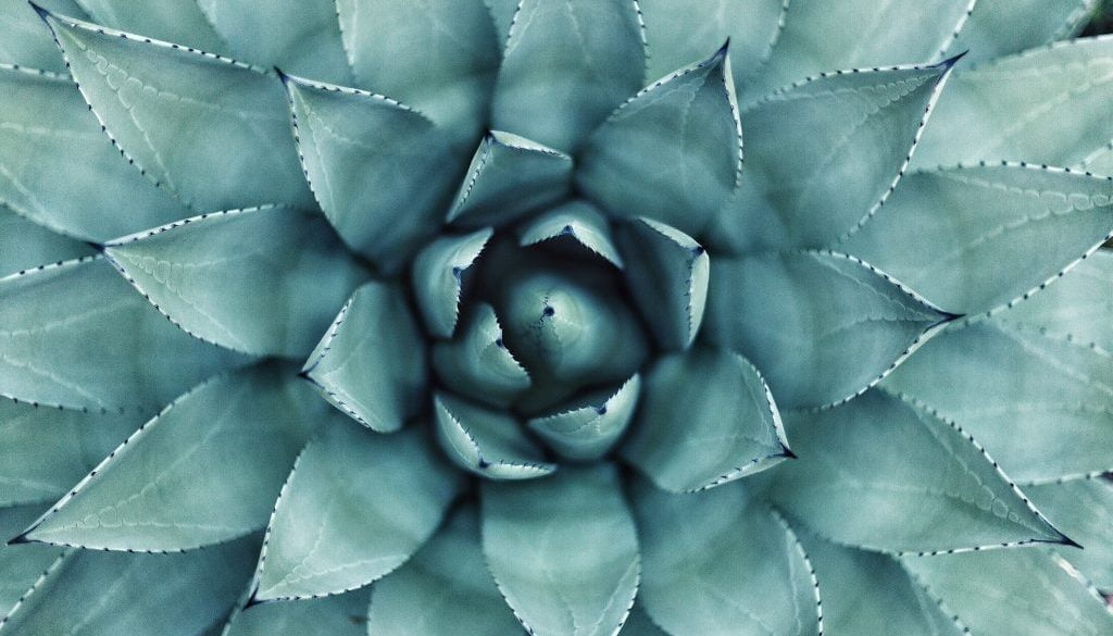 erol-ahmed-aIYFR0vbADk-unsplash