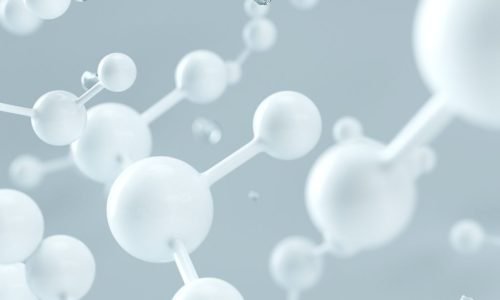 d-koi-5nI9N2wNcBU-unsplash d-koi-5nI9N2wNcBU-unsplash