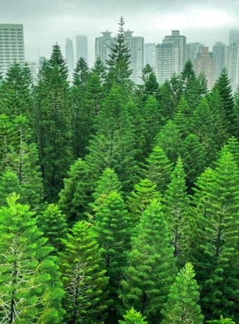 un-liu-5nh6eK-SY5Q-unsplash