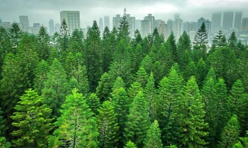 un-liu-5nh6eK-SY5Q-unsplash un-liu-5nh6eK-SY5Q-unsplash